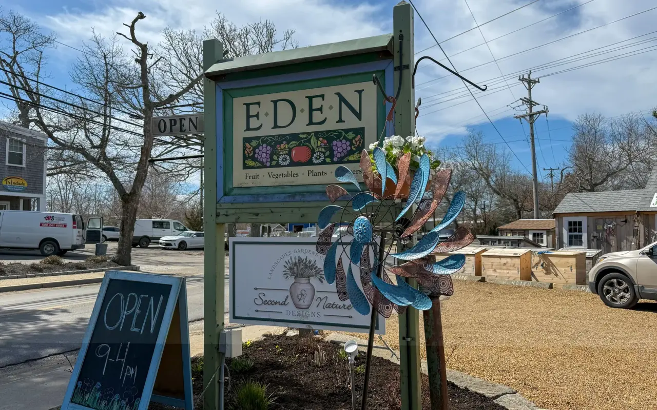 Eden restaurant in Vineyard Haven, Martha's Vineyard