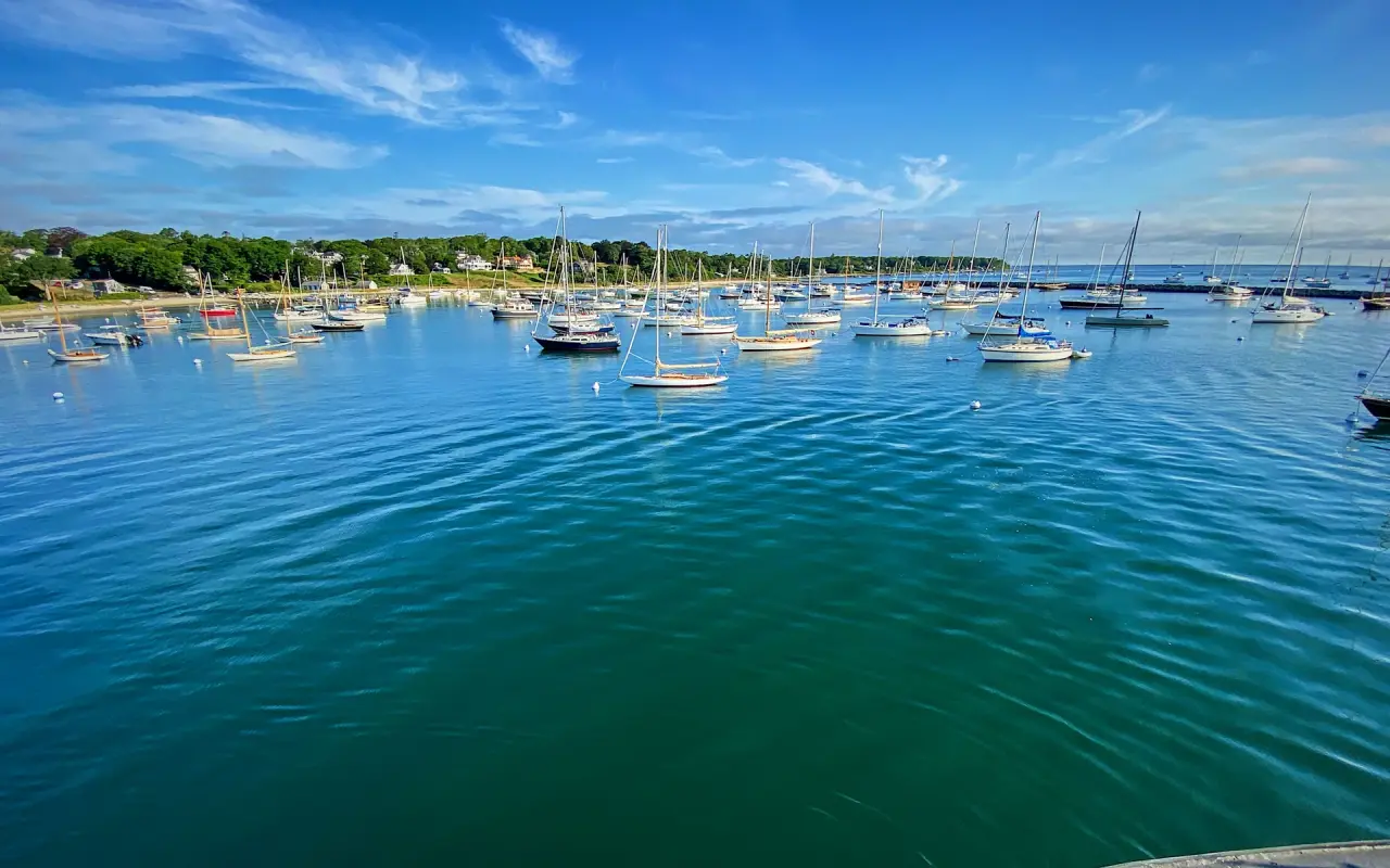 Vineyard Haven Harbor busy with sailboats in summer